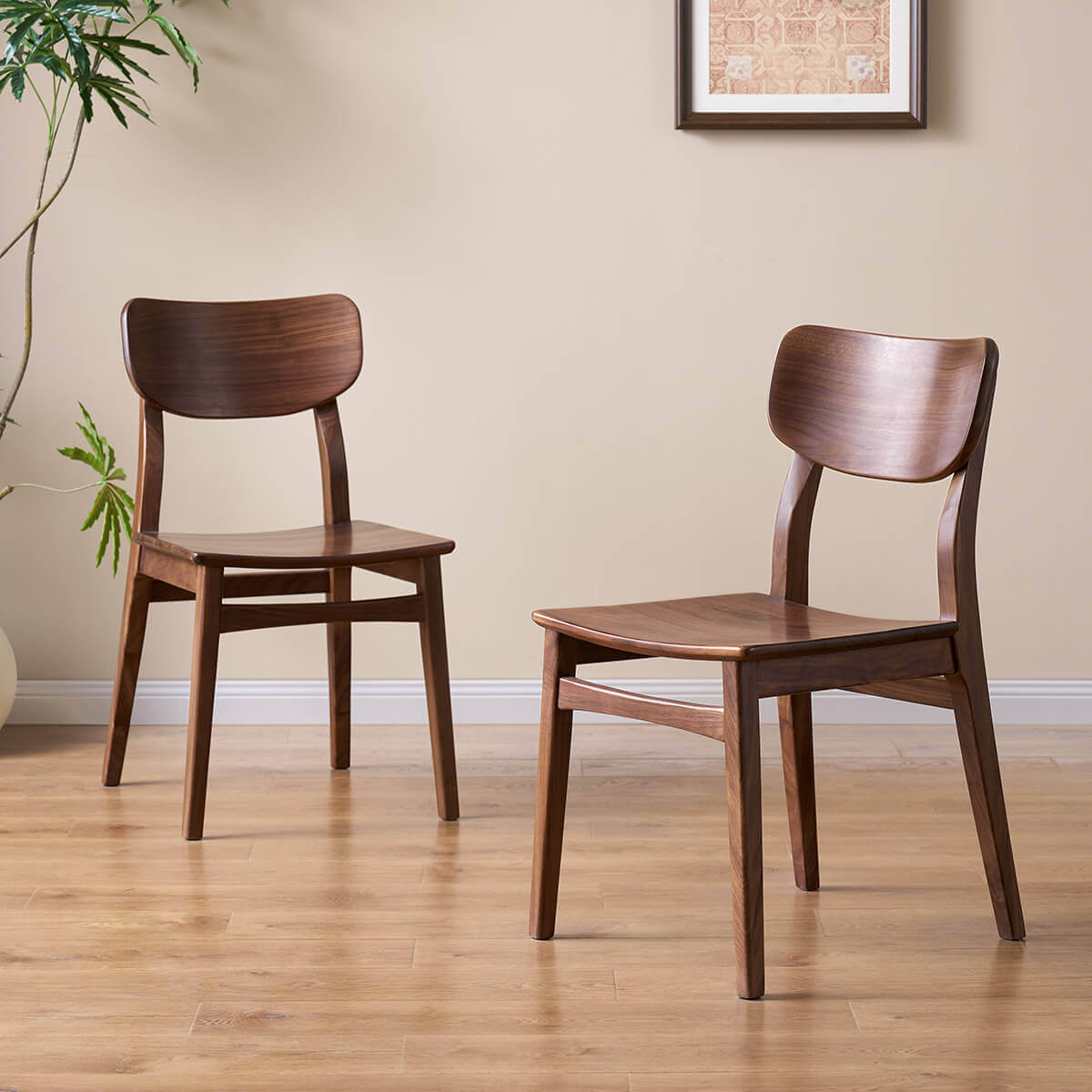 Pair of Oden Solid Walnut Dining Chairs showing front and rear views